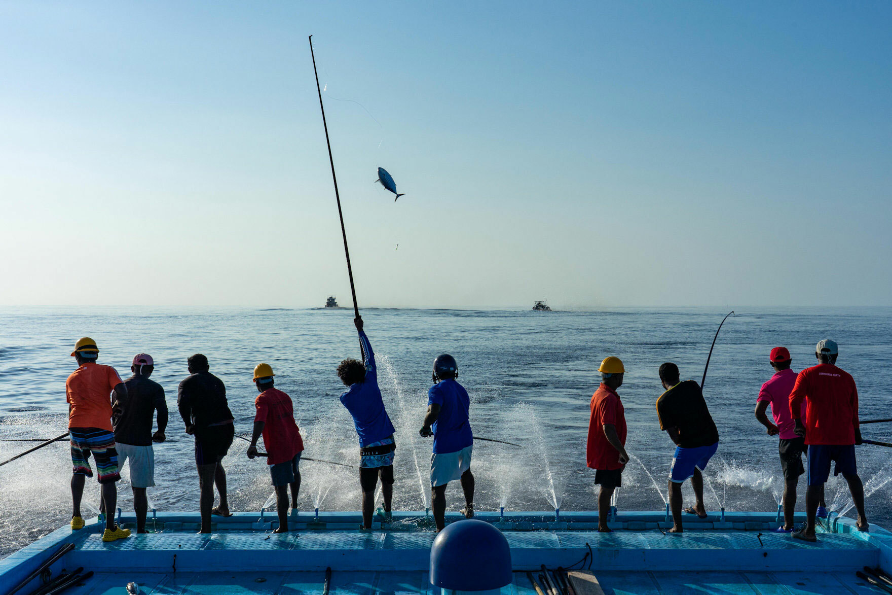 Blueyou Maldives Skipjack Fishing