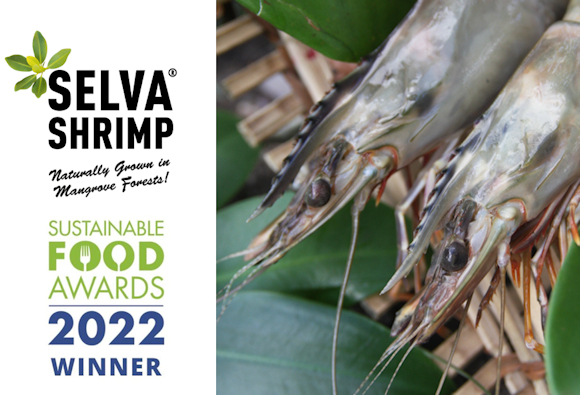 Selva Shrimp Winner